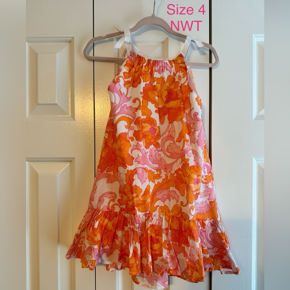 Janie and Jackie dress